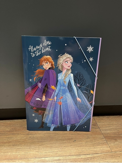 Imagen de Carpeta c/elástico 1/8 big life frozen laminada